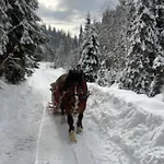 Dom wakacyjny Ciche Pole