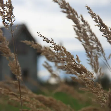 Ciche Pole * Maniowy