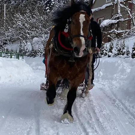 Ferienhaus Ciche Pole