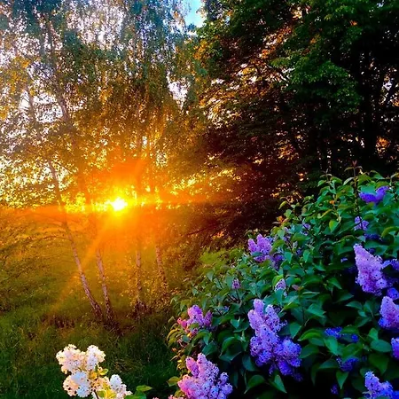 Ciche Pole Ferienhaus Maniowy