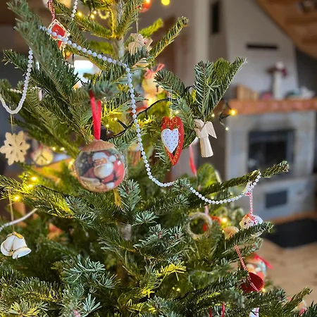 Tatil Evi Ciche Pole Maniowy