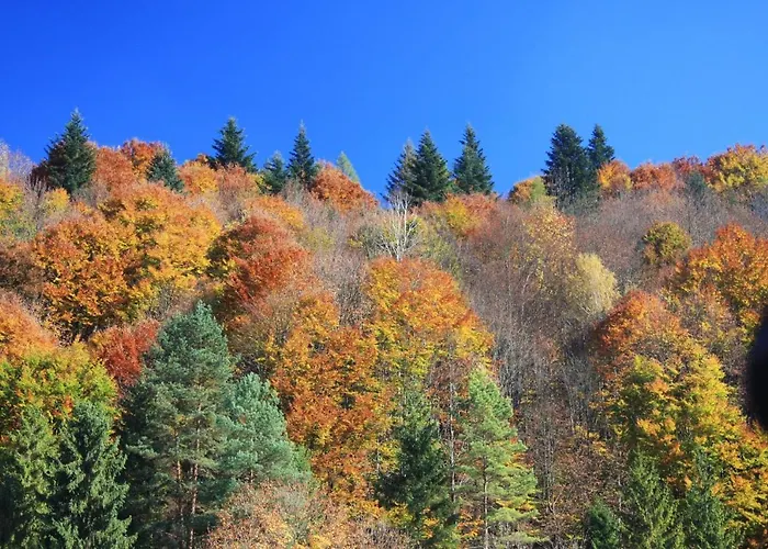 Ciche Pole * Maniowy