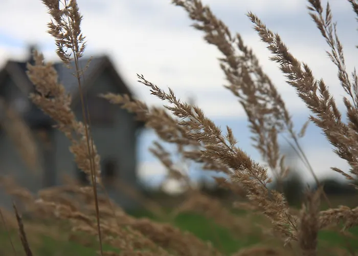 Ciche Pole * Maniowy