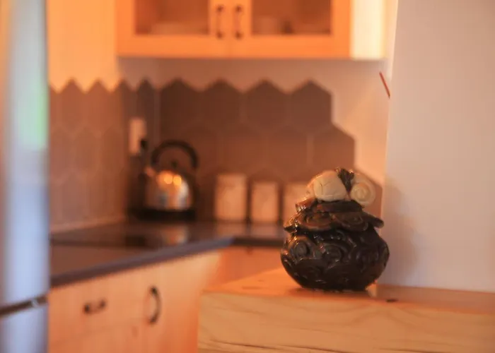 Ciche Pole Tatil Evi Maniowy