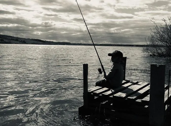 Tatil Evi Ciche Pole *