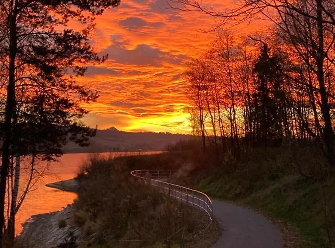 Tatil Evi Ciche Pole *