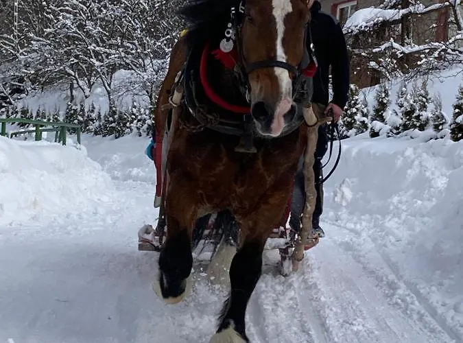 Prázdninový dům Ciche Pole