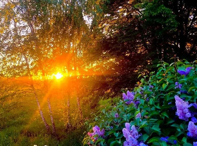 Ciche Pole Prázdninový dům Maniowy