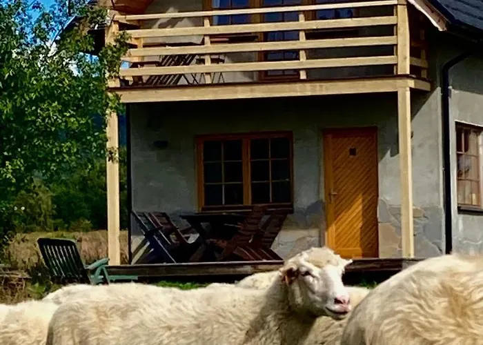 Ciche Pole Tatil Evi Maniowy