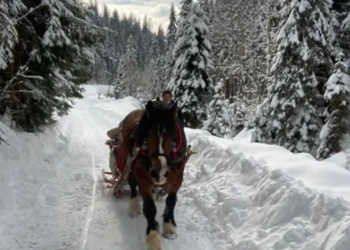 Tatil Evi Ciche Pole