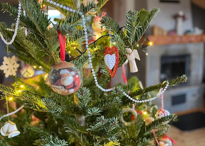 Tatil Evi Ciche Pole Maniowy